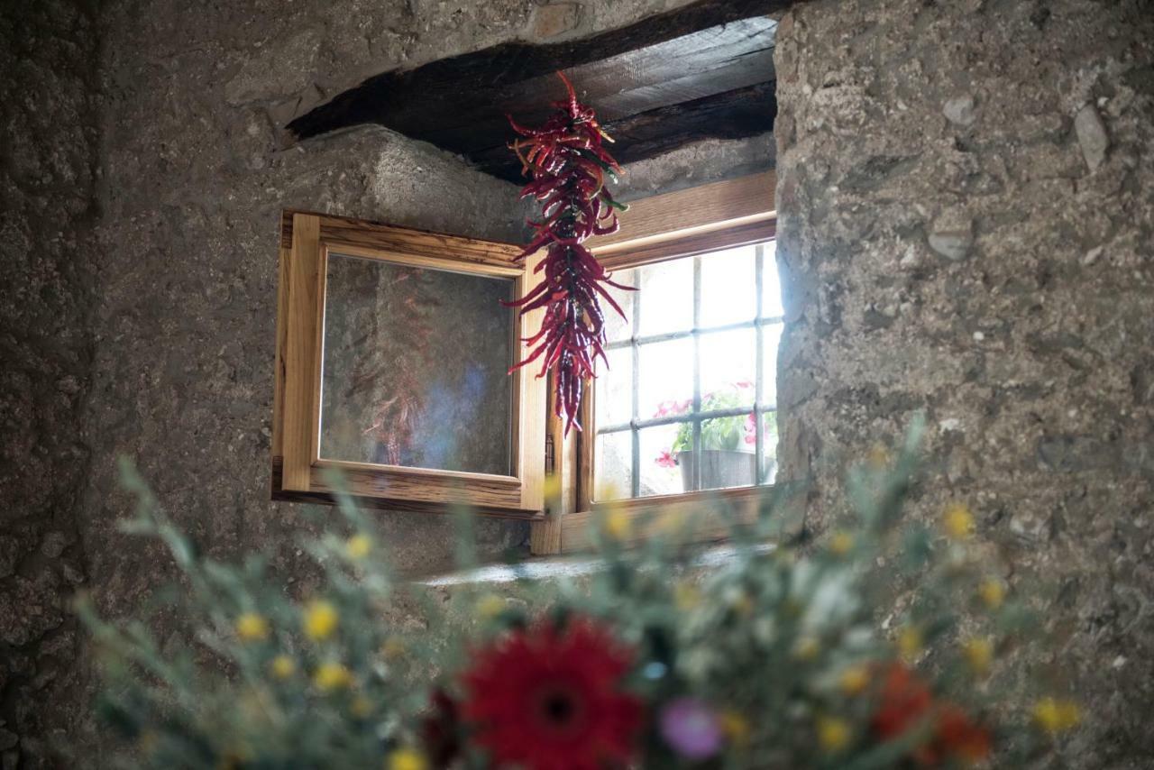 B&B Rifugio Tra Gli Ulivi Campagna Exteriér fotografie