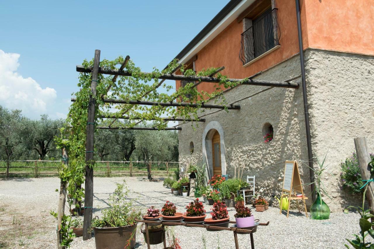 B&B Rifugio Tra Gli Ulivi Campagna Exteriér fotografie