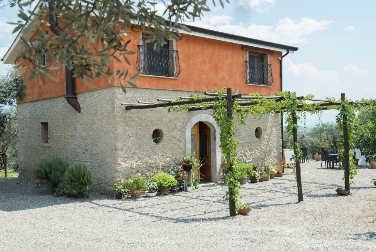 B&B Rifugio Tra Gli Ulivi Campagna Exteriér fotografie