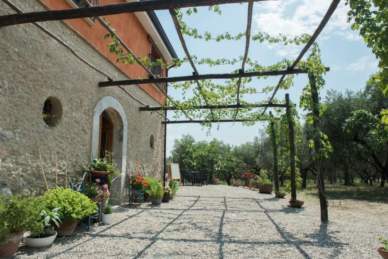 B&B Rifugio Tra Gli Ulivi Campagna Exteriér fotografie