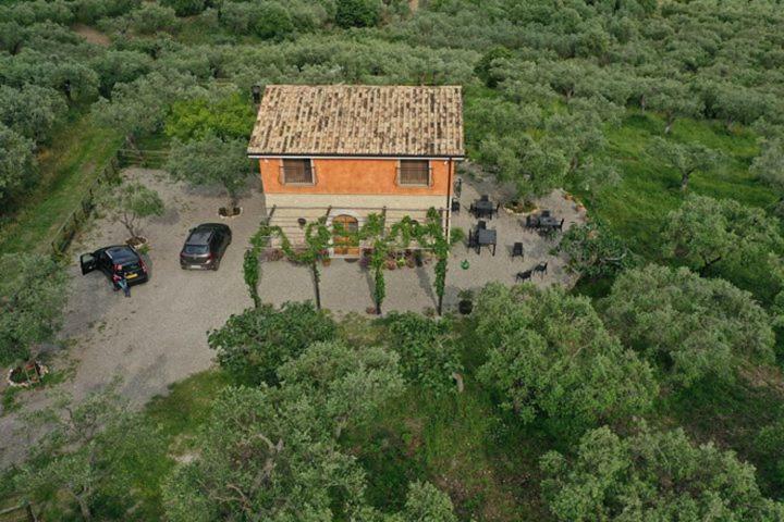 B&B Rifugio Tra Gli Ulivi Campagna Exteriér fotografie